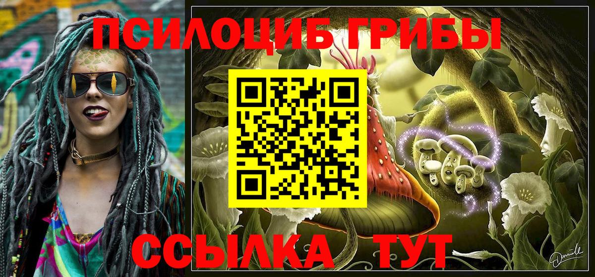 Псилоцибиновые грибы прущие грибы Дербент